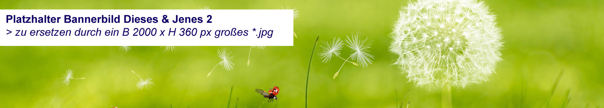 Dieses & Jenes 2 - pixabay.com Dieses & Jenes 2