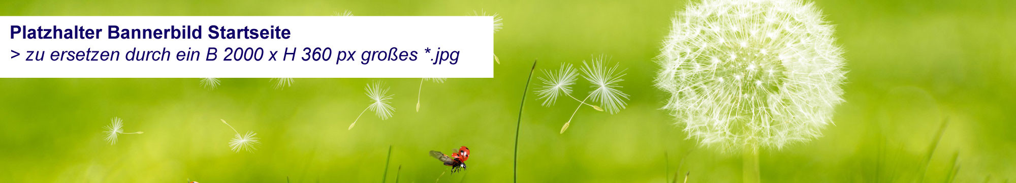 Bannerbild Startseite